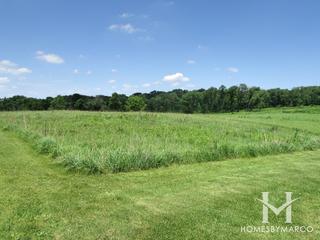 Sands Main Street Prairie Nature Preserve in Cary, IL