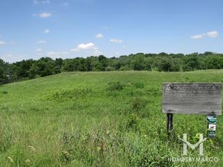 Sands Main Street Prairie Nature Preserve in Cary, IL