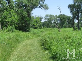 Sands Main Street Prairie Nature Preserve in Cary, IL