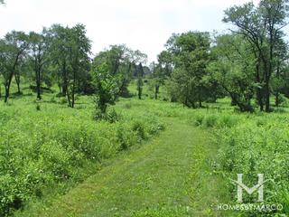 Sands Main Street Prairie Nature Preserve in Cary, IL