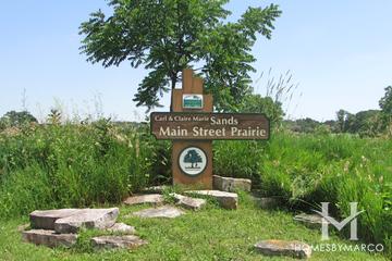 Photos of Sands Main Street Prairie Nature Preserve in Cary, IL