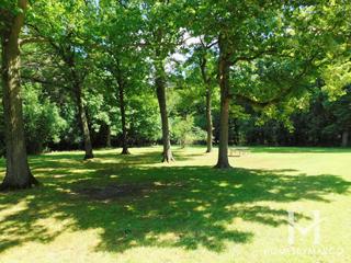 Dam Number 4 Woods East Forest Preserve in Park Ridge, IL