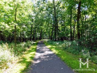 Dam Number 4 Woods East Forest Preserve in Park Ridge, IL