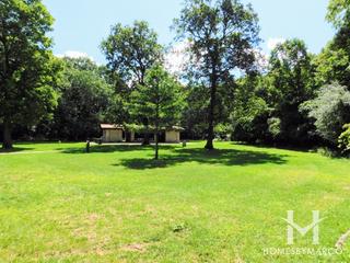 Dam Number 4 Woods East Forest Preserve in Park Ridge, IL