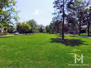 Morgan Park in Park Ridge, IL