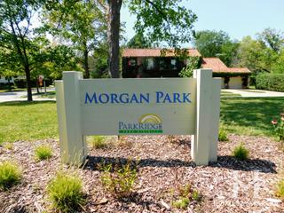 Photos of Morgan Park in Park Ridge, IL