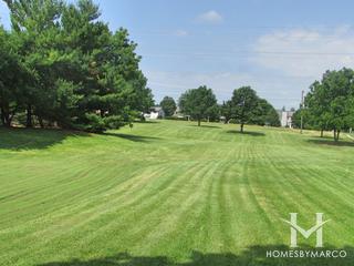 Three Oaks Park in Cary, IL