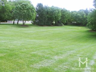 Three Oaks Park in Cary, IL