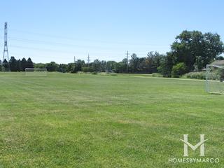 Cary-Grove Park in Cary, IL