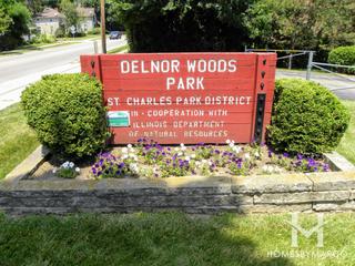 Photos of Arthur Andersen Forest Preserve in St. Charles, IL