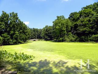 Arthur Andersen Forest Preserve in St. Charles, IL