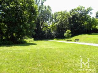 Arthur Andersen Forest Preserve in St. Charles, IL
