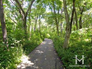 Arthur Andersen Forest Preserve in St. Charles, IL