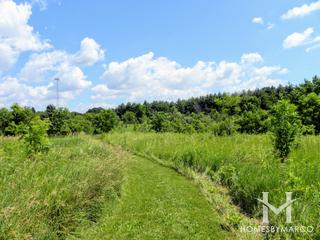 Campton Forest Preserve in St. Charles, IL