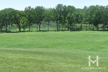 Lions Park in Cary, IL