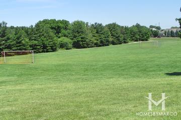 Lions Park in Cary, IL