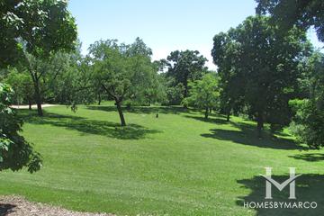 Lions Park in Cary, IL