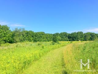 Culver Forest Preserve in Sugar Grove, IL