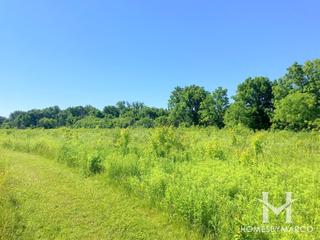 Culver Forest Preserve in Sugar Grove, IL
