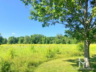 Culver Forest Preserve in Sugar Grove, IL
