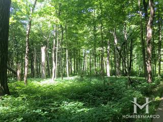 Bliss Woods Forest Preserve in Sugar Grove, IL