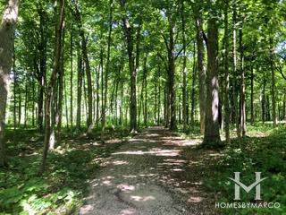 Bliss Woods Forest Preserve in Sugar Grove, IL