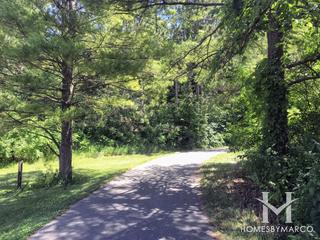Bliss Woods Forest Preserve in Sugar Grove, IL
