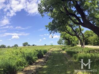 Hannaford Woods/Nickels Farm Forest Preserve in Sugar Grove, IL