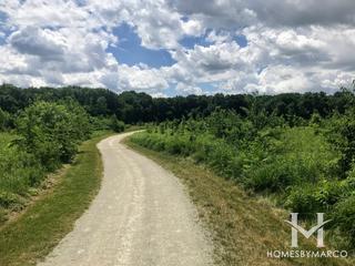 Hannaford Woods/Nickels Farm Forest Preserve in Sugar Grove, IL
