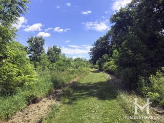 Hannaford Woods/Nickels Farm Forest Preserve in Sugar Grove, IL