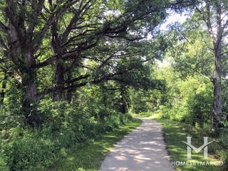 Hannaford Woods/Nickels Farm Forest Preserve in Sugar Grove, IL