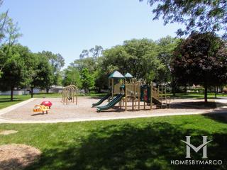 Lewis Park in Tinley Park, IL