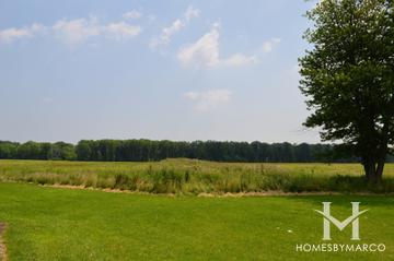 Photos of South Green Belt Forest Preserve in Tinley Park, IL