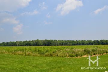 South Green Belt Forest Preserve in Tinley Park, IL