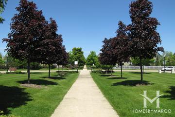 Central Park in Vernon Hills, IL