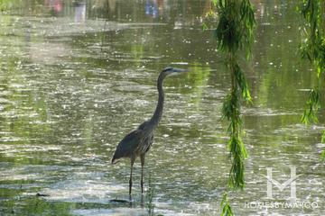 Century Park in Vernon Hills, IL