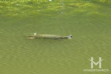 Torrey Pines Park in Vernon Hills, IL