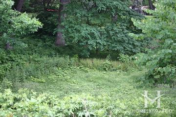 Val Budd Park in Cary, IL