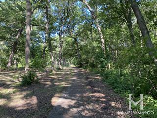 Pulaski Woods Forest Preserve in Willow Springs, IL