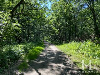 Spears Woods Forest Preserve in Willow Springs, IL