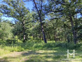 Willow Springs Forest Preserve in Willow Springs, IL