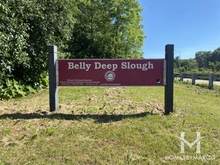 Photos of Cranberry Slough Nature Preserve in Willow Springs, IL