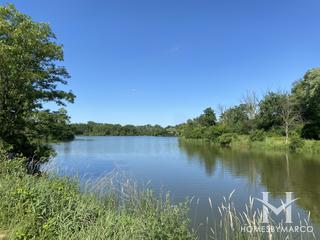 Cranberry Slough Nature Preserve in Willow Springs, IL
