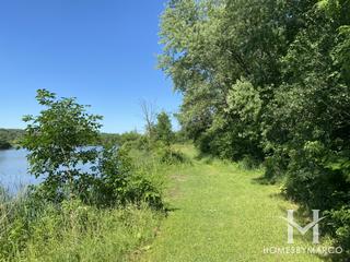 Cranberry Slough Nature Preserve in Willow Springs, IL