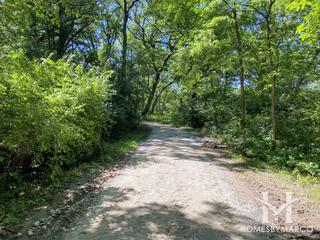 Buffalo Woods Forest Preserve in Willow Springs, IL