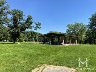 Buffalo Woods Forest Preserve in Willow Springs, IL