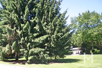 Devron Circle Park in Cary, IL