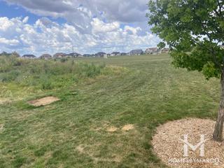 Ashwood Park in Naperville, IL