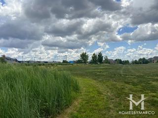 Ashwood Park in Naperville, IL