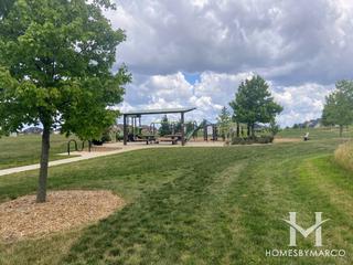 Ashwood Park in Naperville, IL